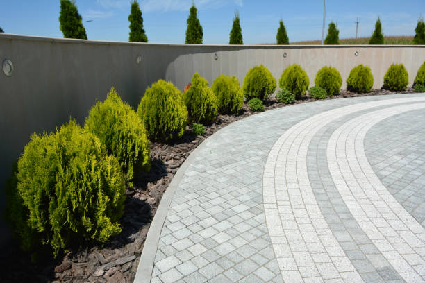 Driveway Repair Near Me in La Riviera, CA